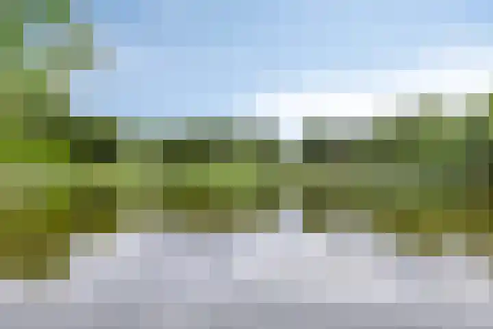 Pastoor Grimmeltstraat 9 Bemmel thumbnail 38