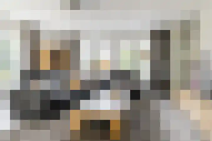 Pastoor Hackenstraat 15 Sint-Oedenrode thumbnail 12