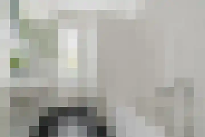 Pastoor Hackenstraat 15 Sint-Oedenrode thumbnail 5