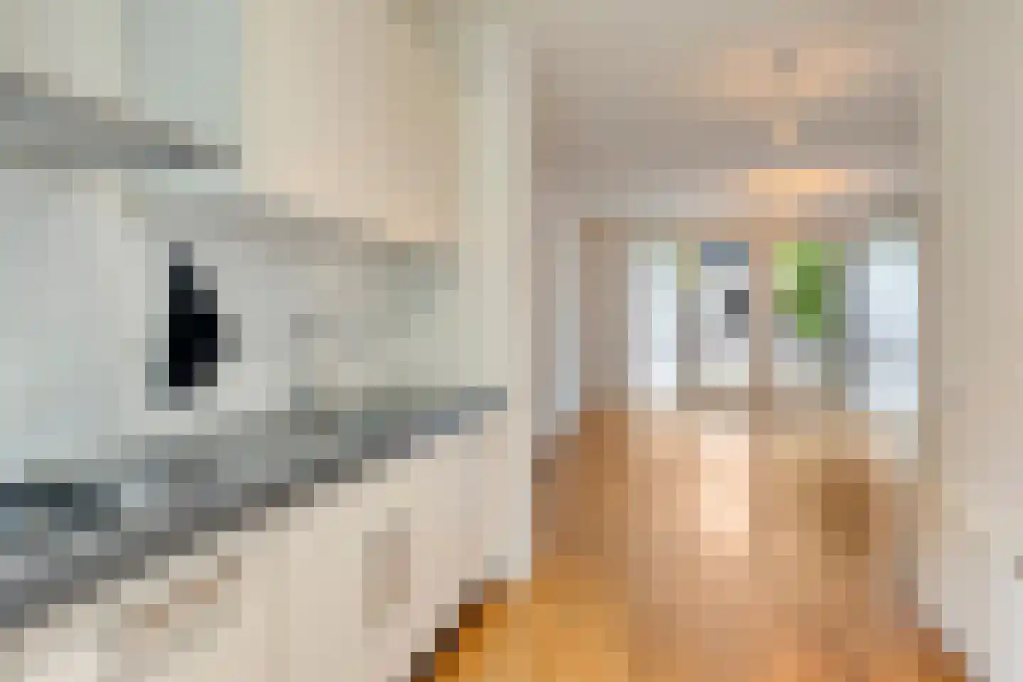 Pastoor Hackenstraat 59 Sint-Oedenrode thumbnail 16