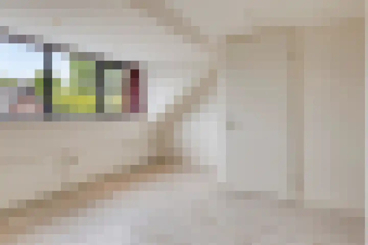 Pastoor Hackenstraat 59 Sint-Oedenrode thumbnail 31
