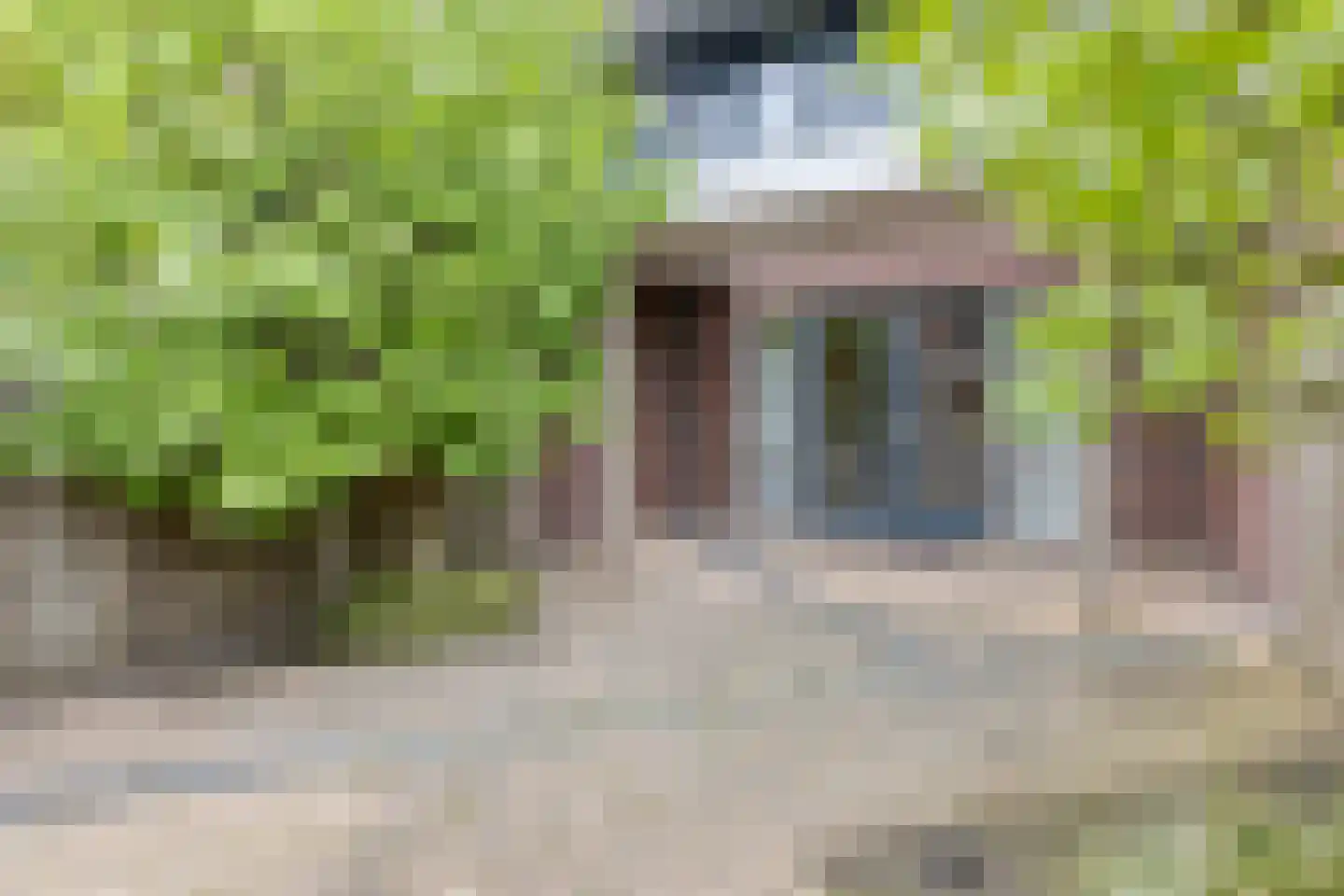 Pastoor Hackenstraat 59 Sint-Oedenrode thumbnail 38