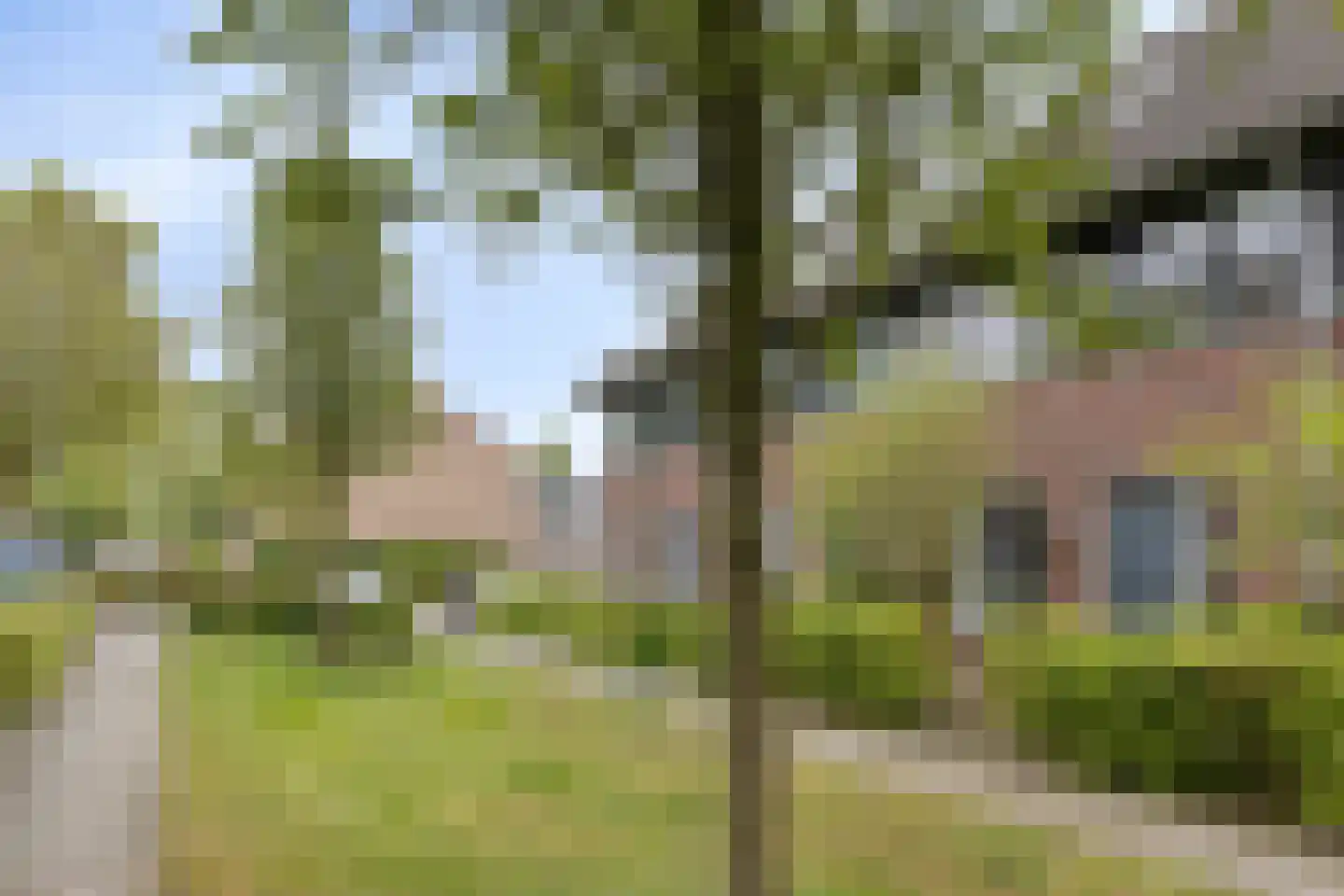 Pastoor Hackenstraat 59 Sint-Oedenrode thumbnail 46