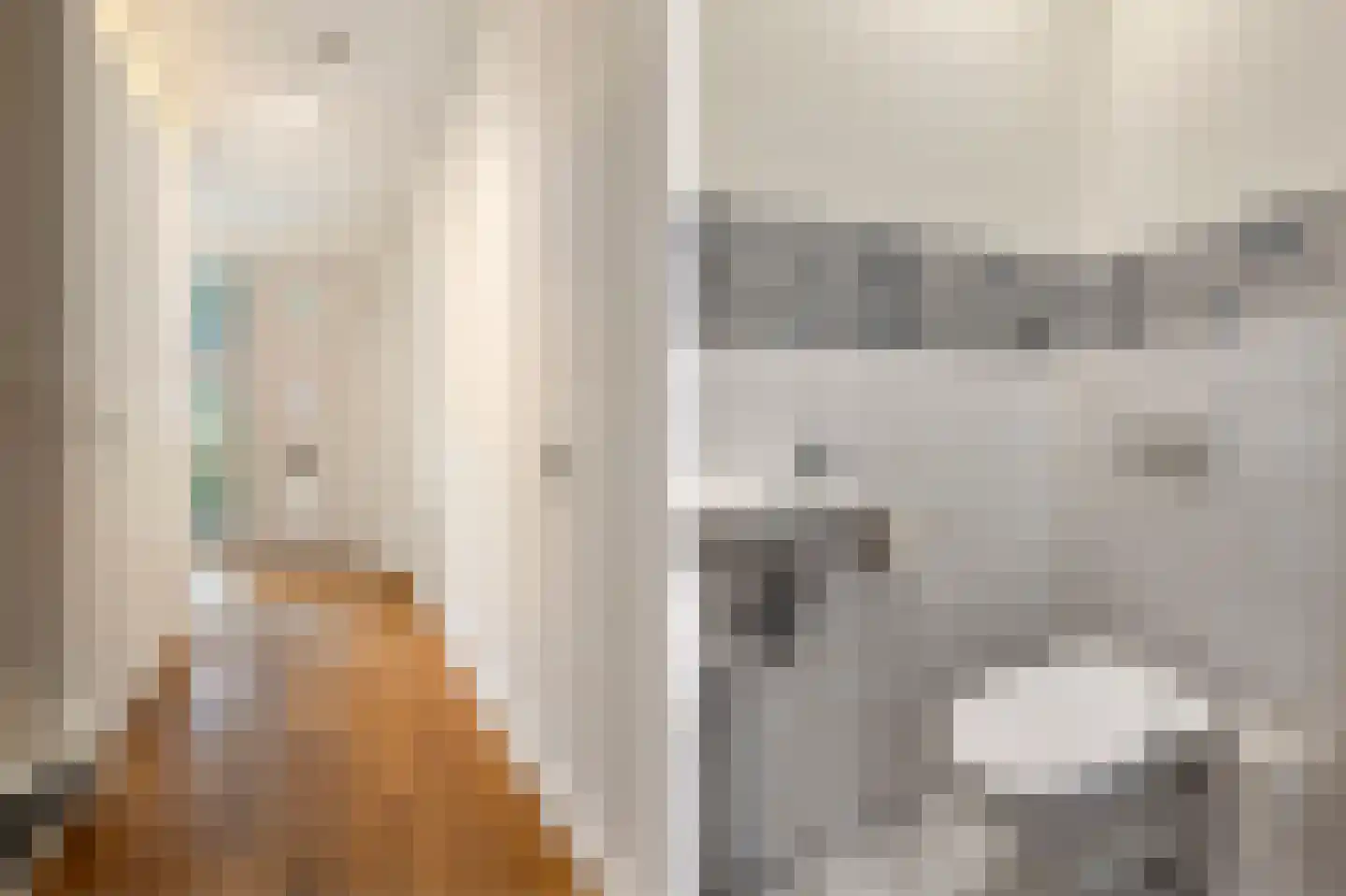 Pastoor Hackenstraat 59 Sint-Oedenrode thumbnail 7
