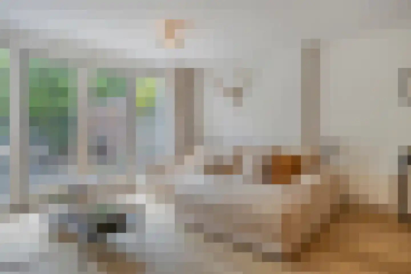 Pastoor Hackenstraat 65 Sint-Oedenrode thumbnail 10