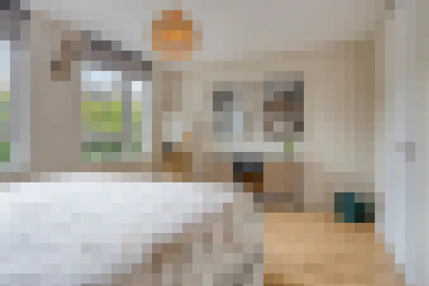 Pastoor Hackenstraat 65 Sint-Oedenrode thumbnail 26