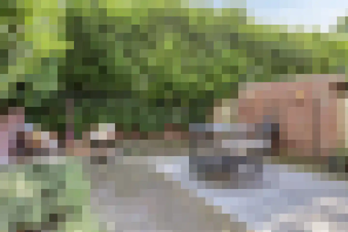 Pastoor Hackenstraat 65 Sint-Oedenrode thumbnail 4