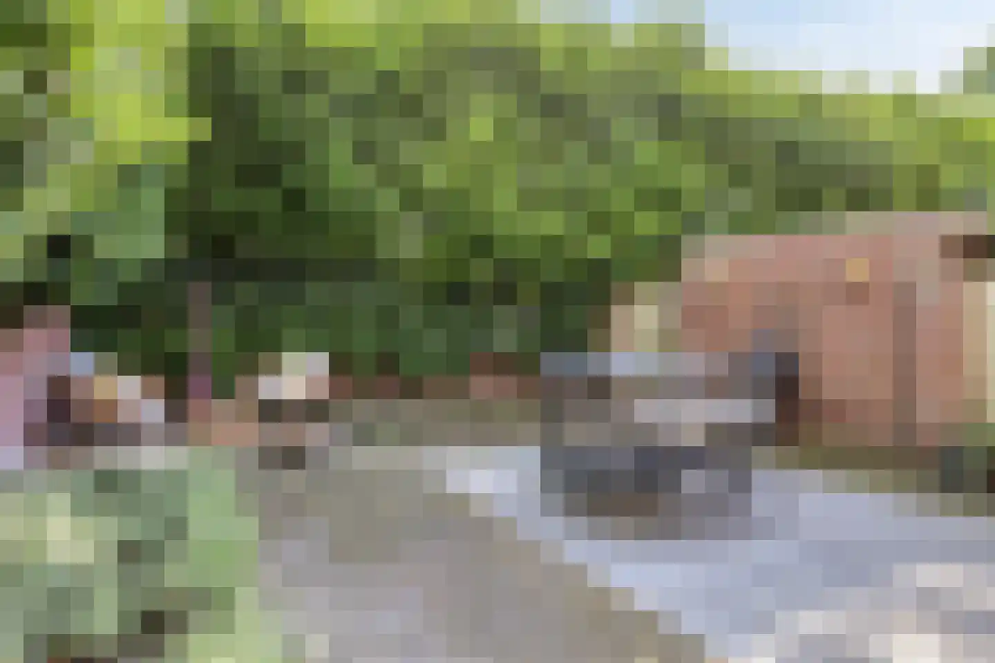Pastoor Hackenstraat 65 Sint-Oedenrode thumbnail 41