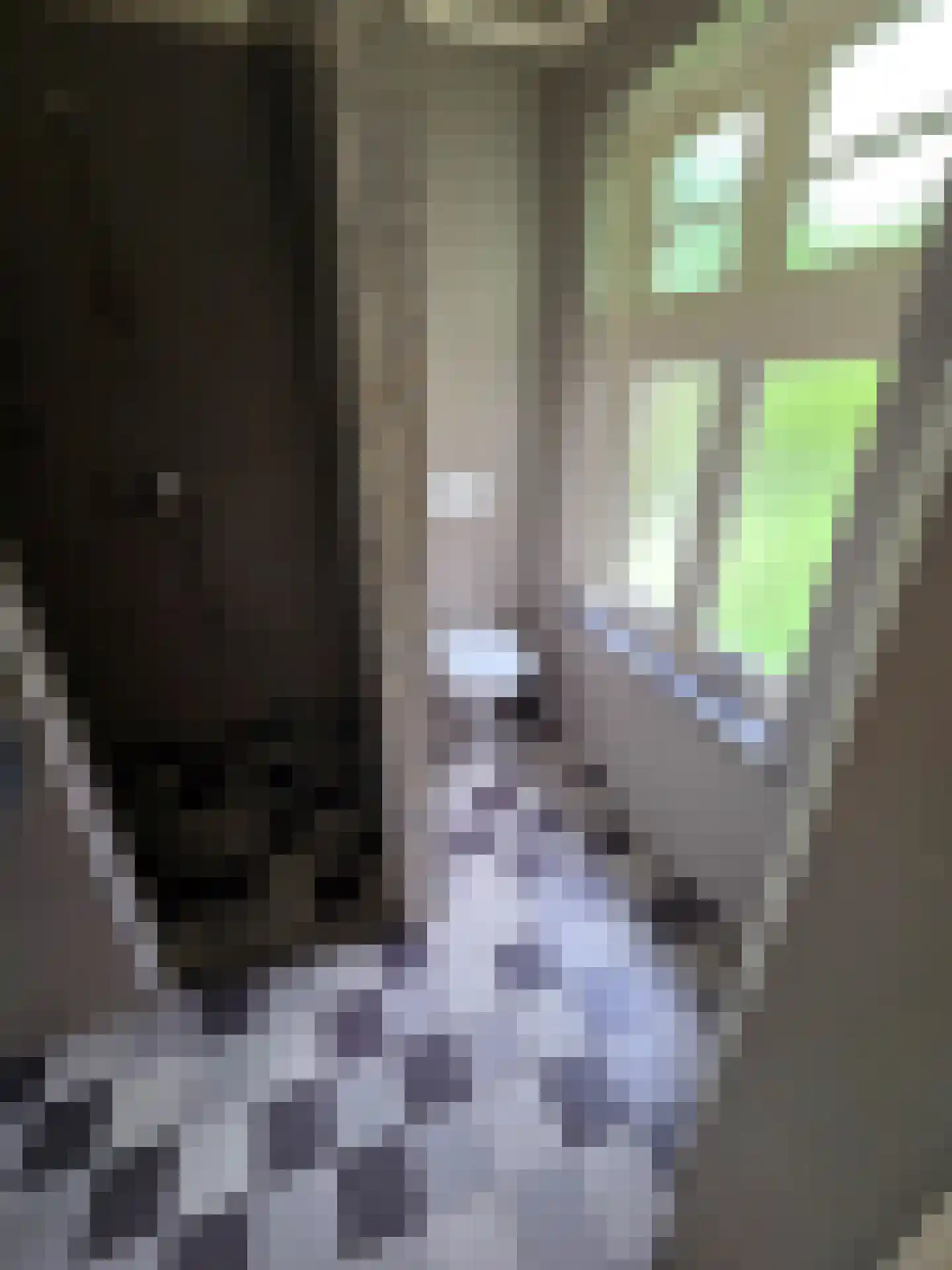 Pastoor Hagenstraat 2 Vaassen thumbnail 26