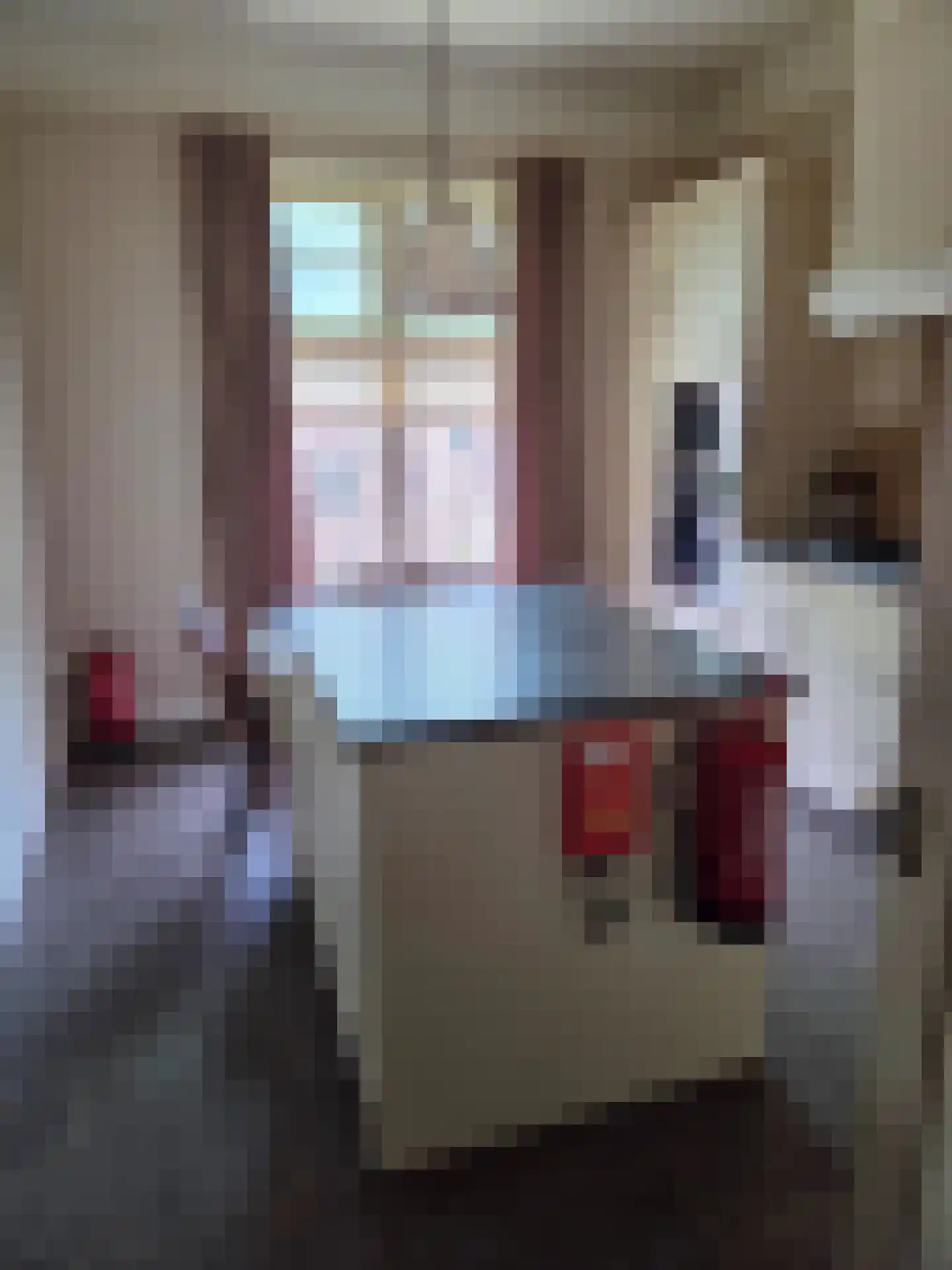 Pastoor Hagenstraat 2 Vaassen thumbnail 30