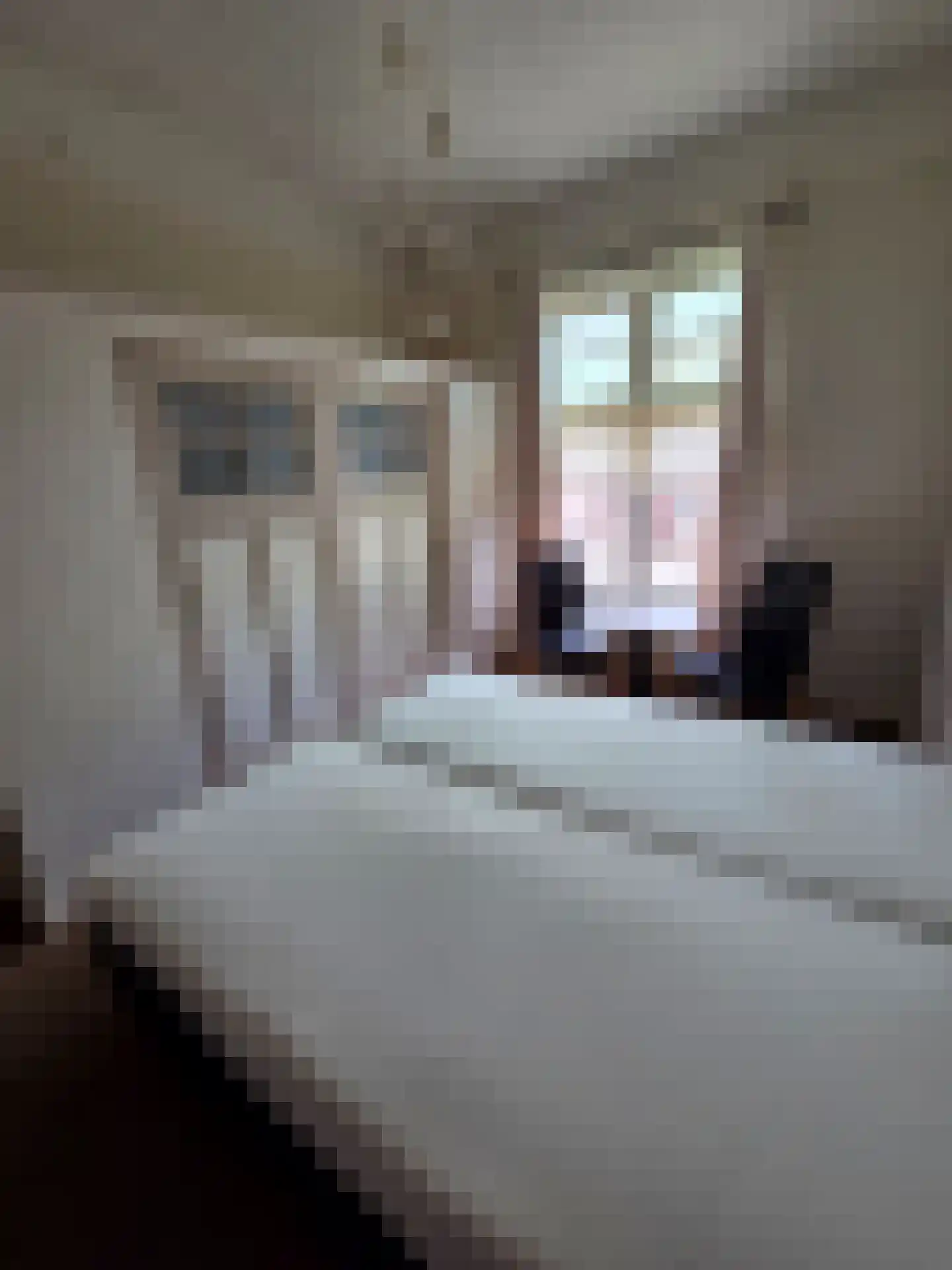 Pastoor Hagenstraat 2 Vaassen thumbnail 34