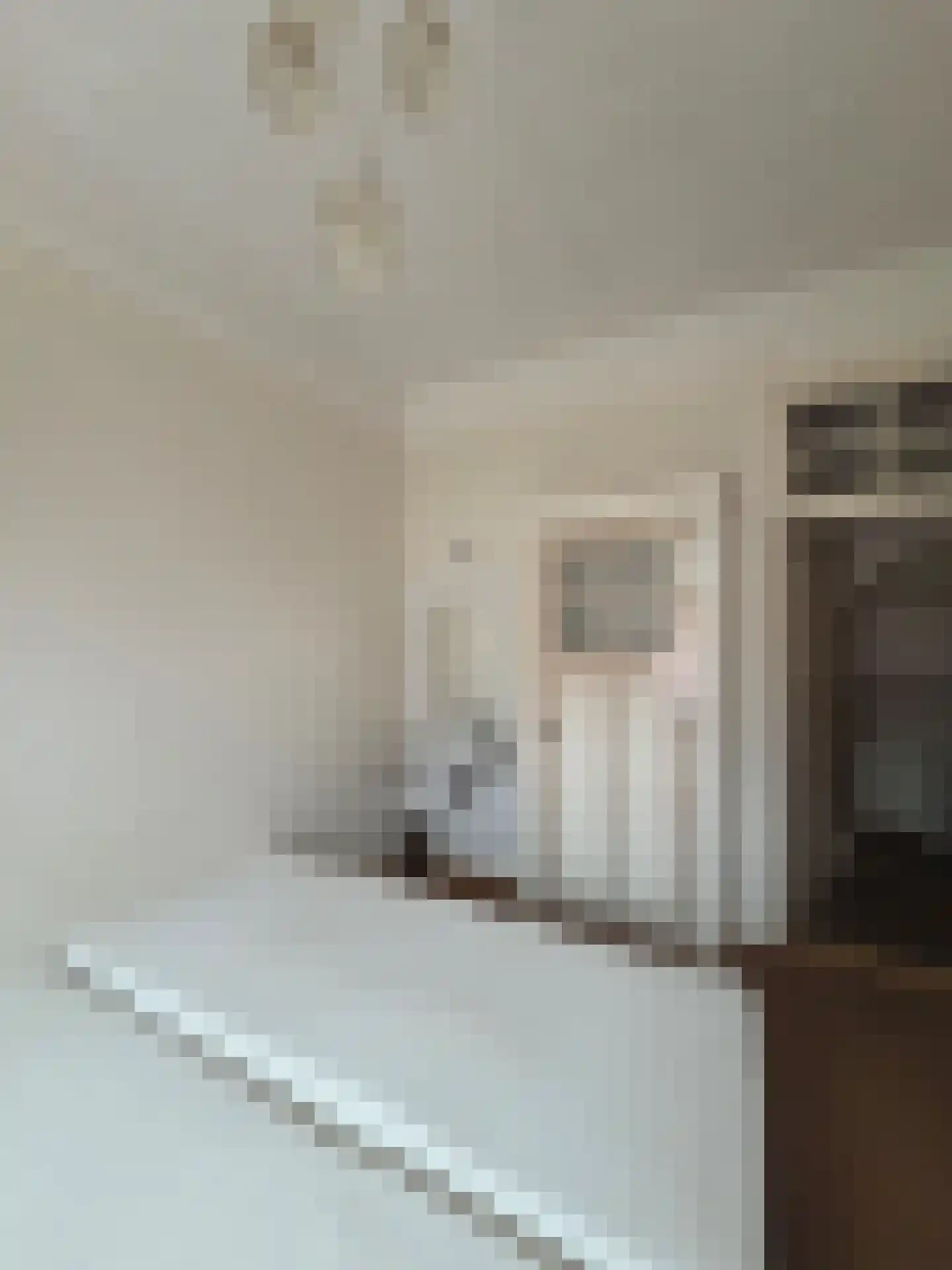 Pastoor Hagenstraat 2 Vaassen thumbnail 35