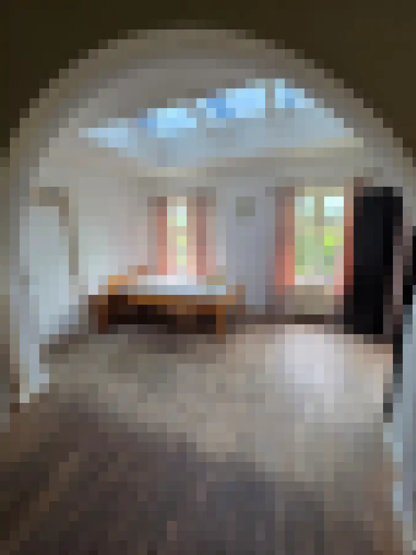 Pastoor Hagenstraat 2 Vaassen thumbnail 37