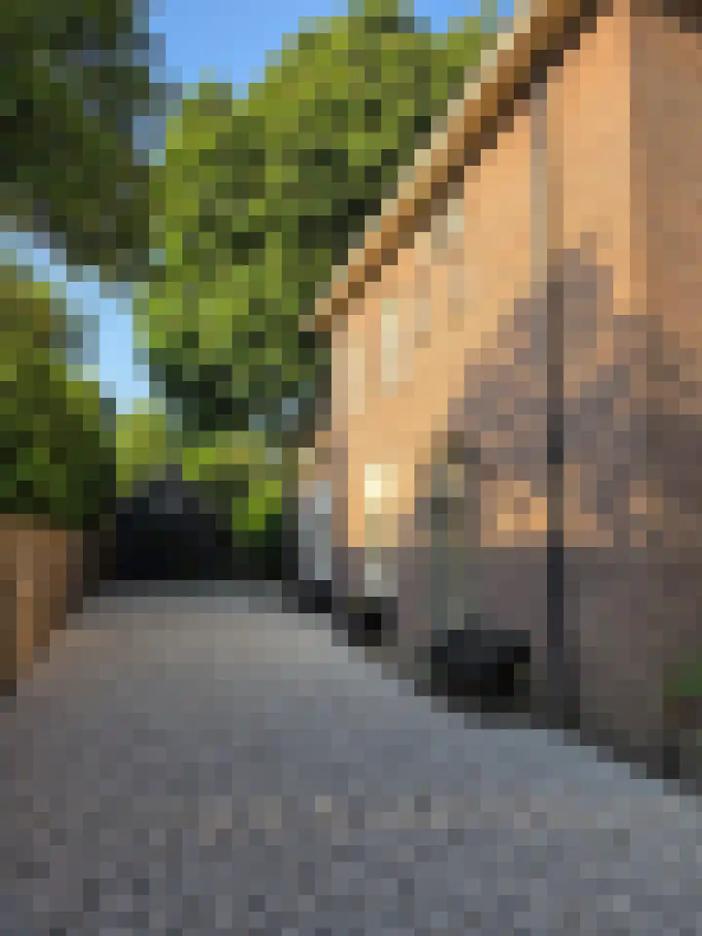 Pastoor Hagenstraat 2 Vaassen thumbnail 5