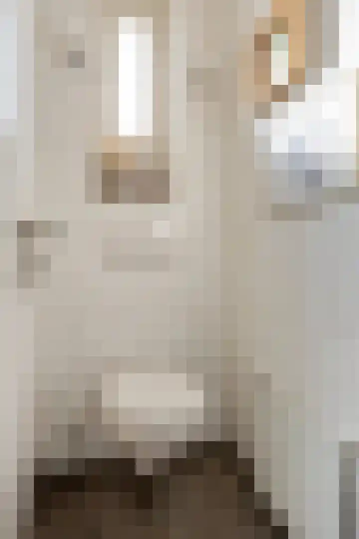 Pastoor Halmansstraat 10 Berg en Terblijt thumbnail 10