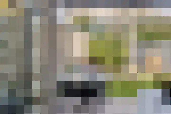 Pastoor Halmansstraat 10 Berg en Terblijt thumbnail 22