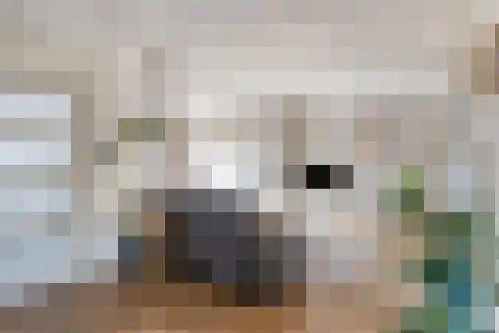 Pastoor Halmansstraat 10 Berg en Terblijt thumbnail 4