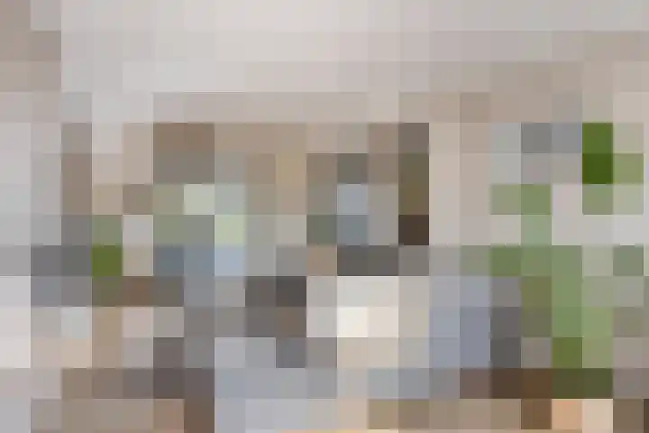 Pastoor Halmansstraat 10 Berg en Terblijt thumbnail 7