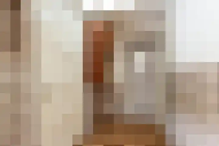 Pastoor Hanraetsstraat 1 Roggel thumbnail 12