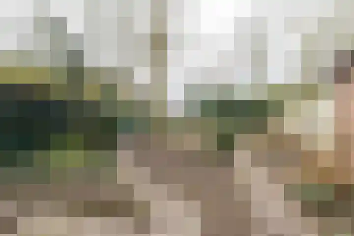 Pastoor Hanraetsstraat 1 Roggel thumbnail 24