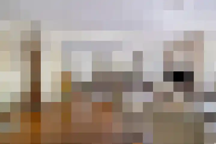 Pastoor Harkxplein 18 Eindhoven thumbnail 11