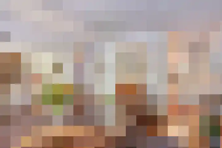 Pastoor Harkxplein 18 Eindhoven thumbnail 17