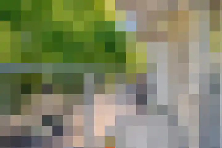 Pastoor Harkxplein 18 Eindhoven thumbnail 30
