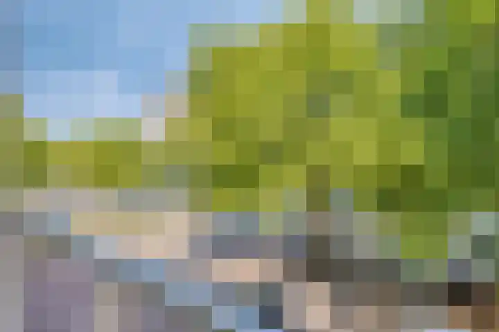 Pastoor Harkxplein 18 Eindhoven thumbnail 31
