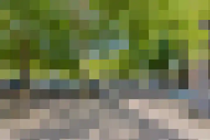 Pastoor Harkxplein 18 Eindhoven thumbnail 35
