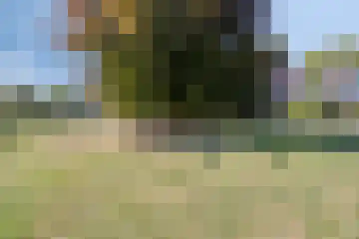 Pastoor Harkxplein 18 Eindhoven thumbnail 36