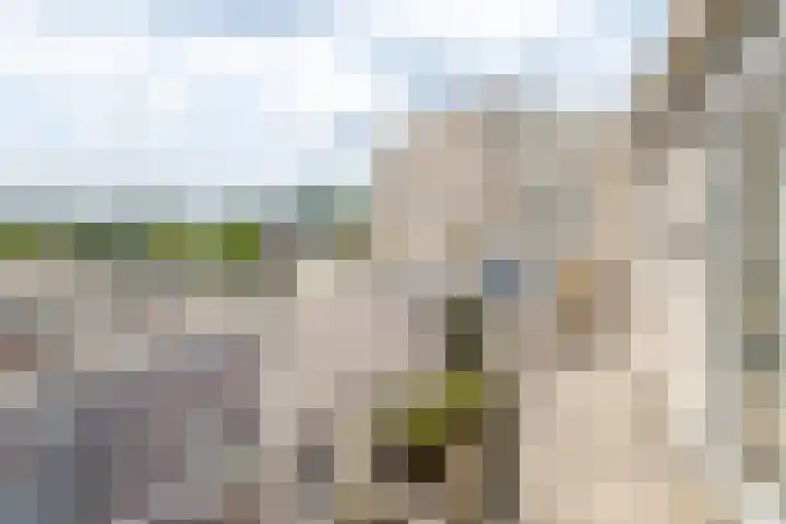 Pastoor Harkxplein 24 Eindhoven thumbnail 12