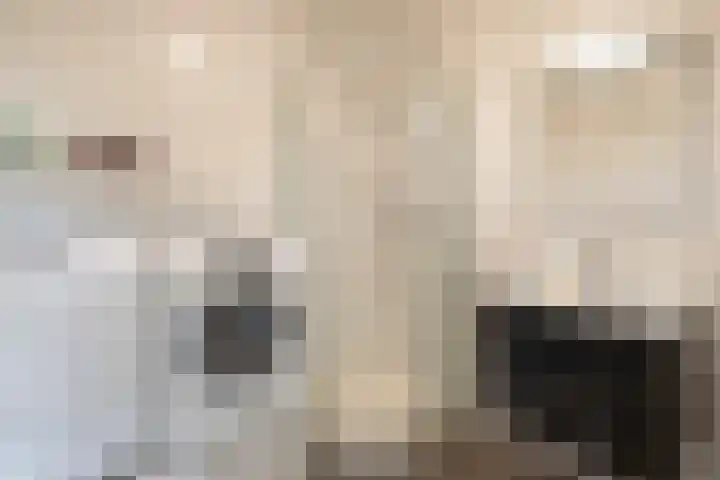 Pastoor Harkxplein 24 Eindhoven thumbnail 27