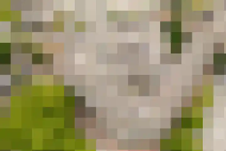 Pastoor Harkxplein 24 Eindhoven thumbnail 28