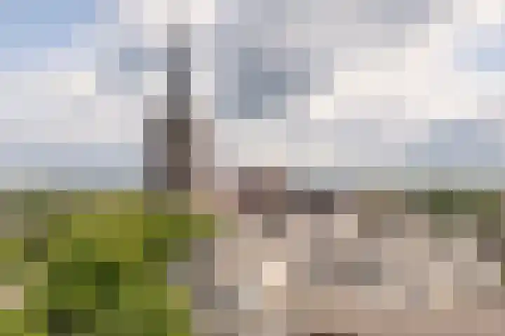 Pastoor Harkxplein 24 Eindhoven thumbnail 30