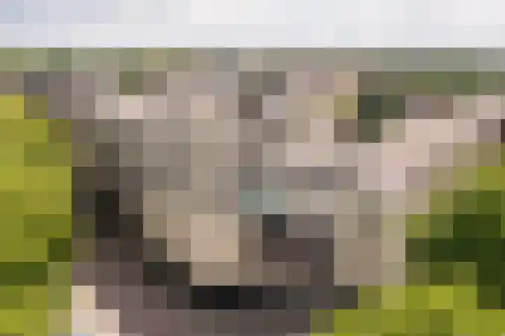 Pastoor Harkxplein 24 Eindhoven thumbnail 5