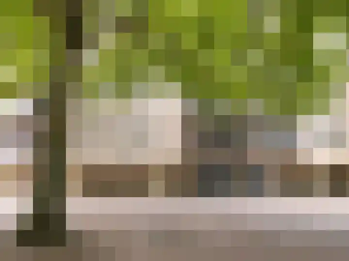 Pastoor Harkxplein 24 Eindhoven thumbnail 6