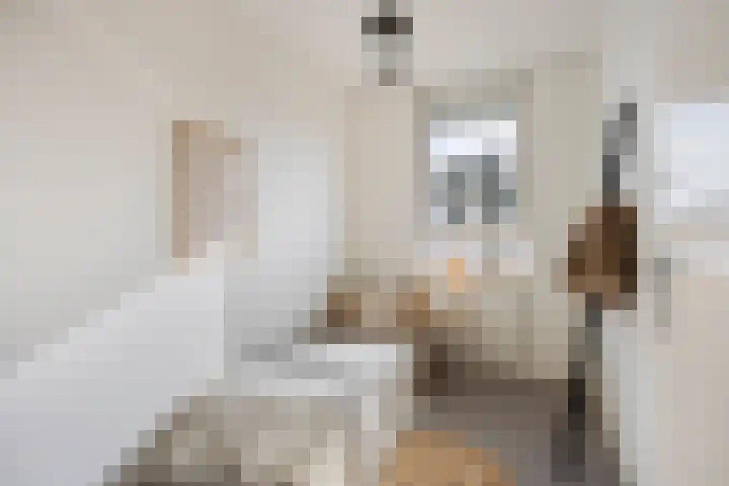 Pastoor Harkxplein 43 Eindhoven thumbnail 20