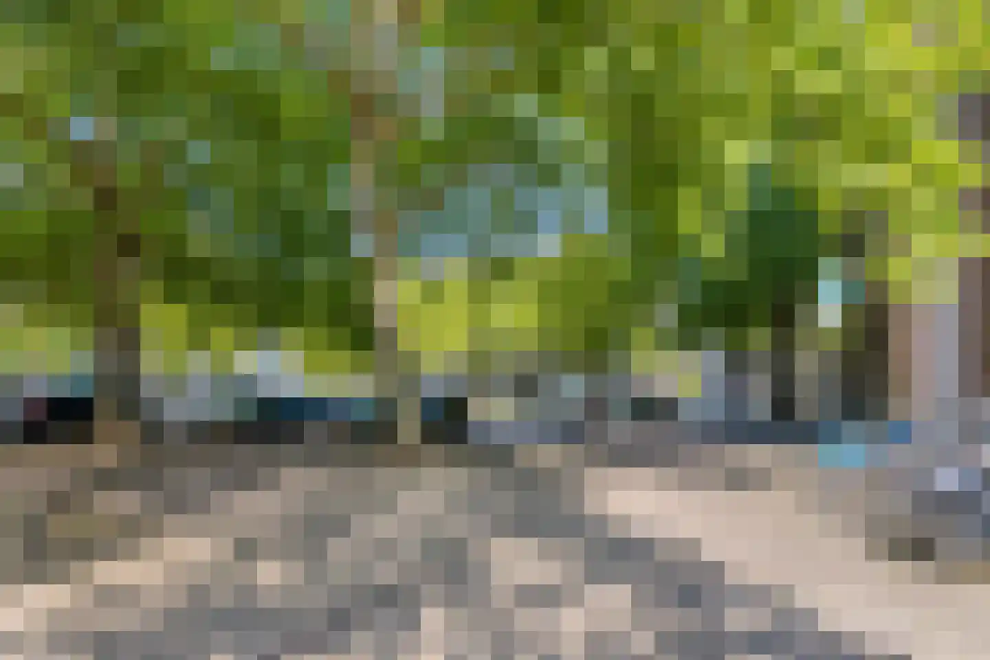 Pastoor Harkxplein 43 Eindhoven thumbnail 34