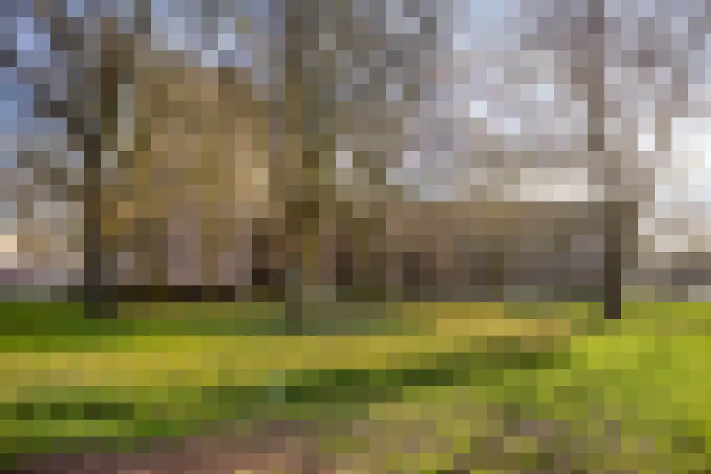 Pastoor Harkxplein 43 Eindhoven thumbnail 35