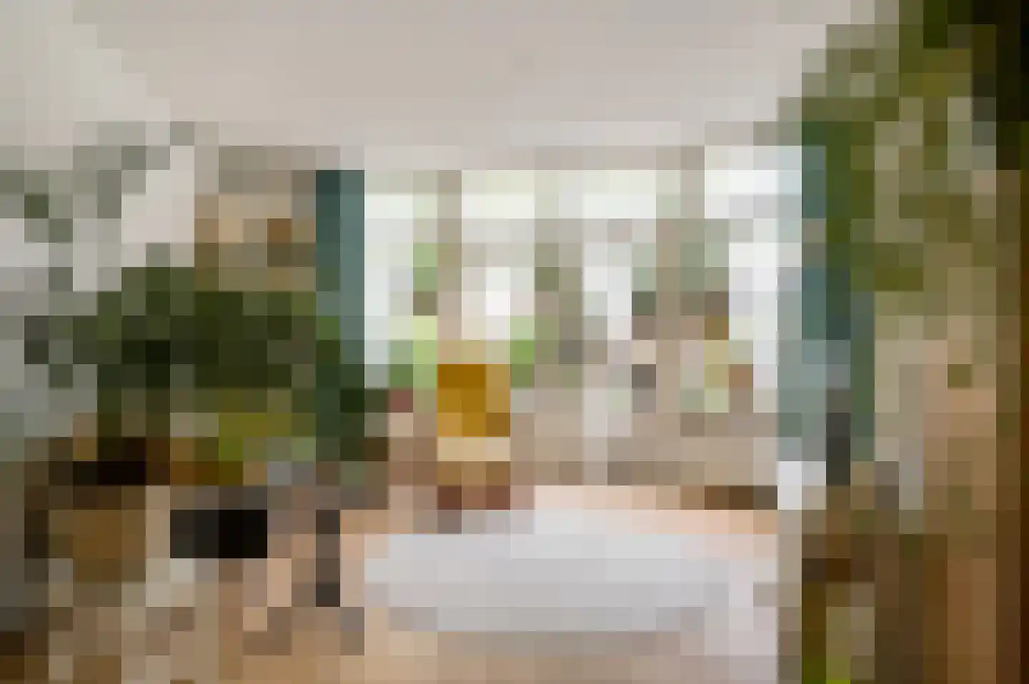 Pastoor Haseldonklaan 11 Heeze thumbnail 11
