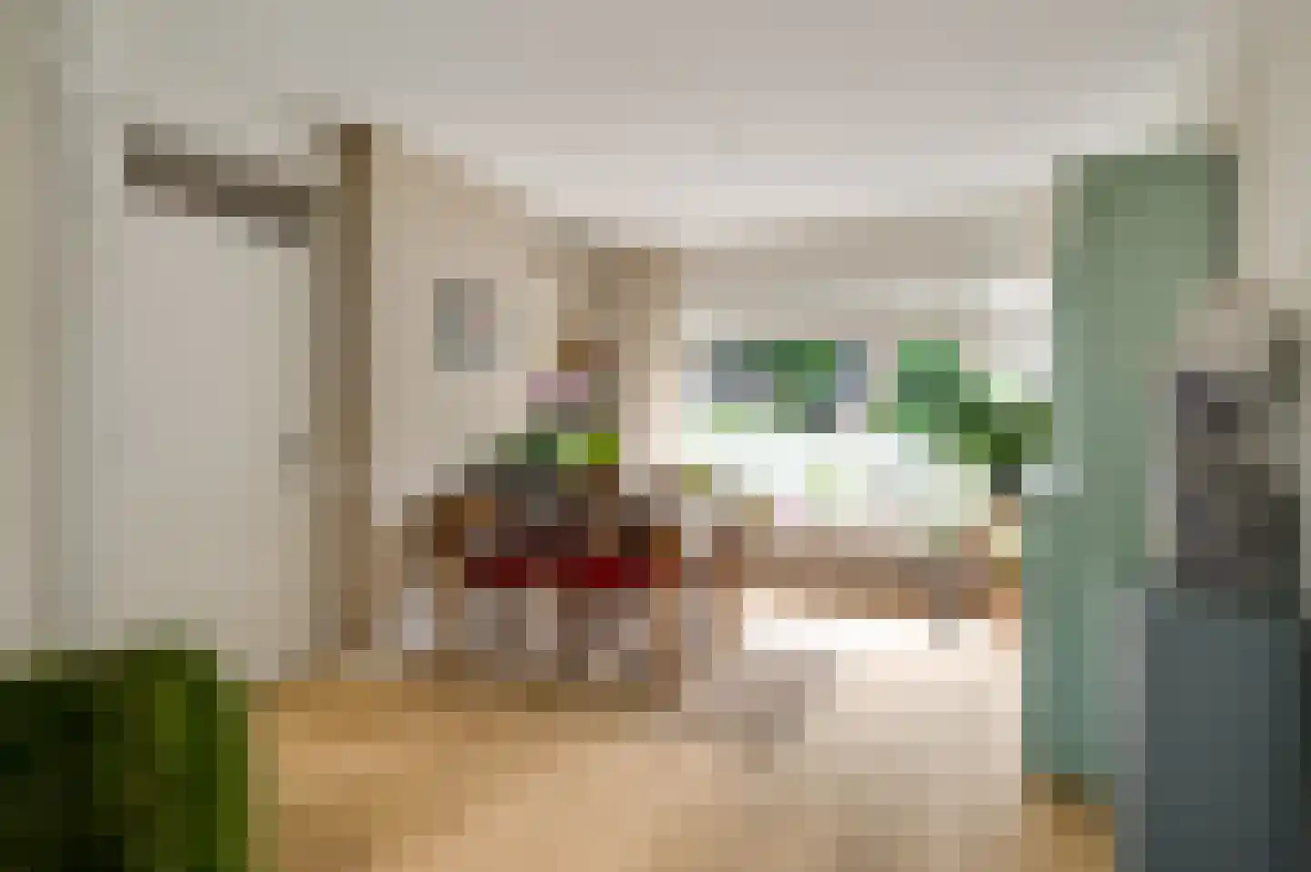 Pastoor Haseldonklaan 11 Heeze thumbnail 13