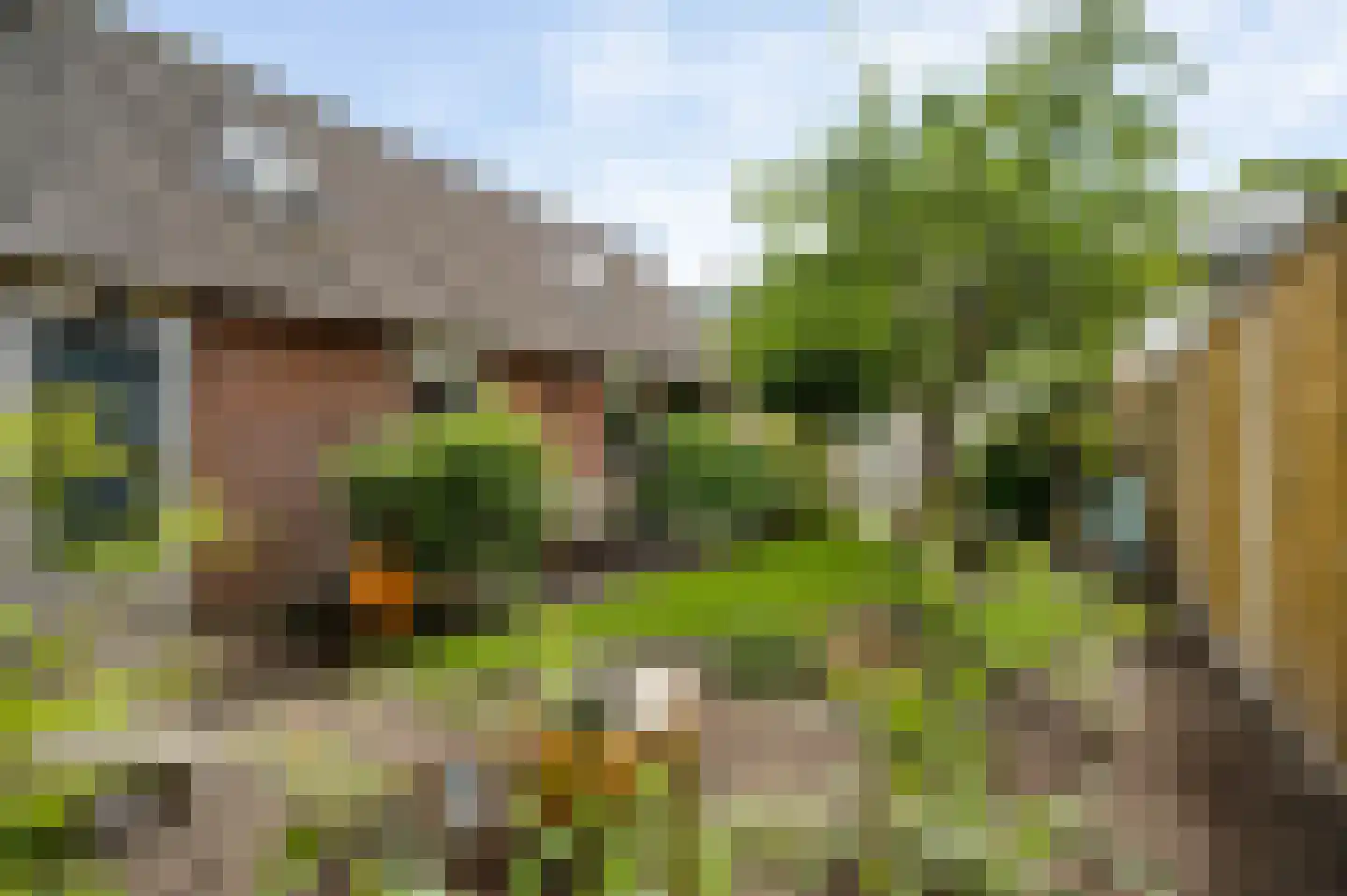 Pastoor Haseldonklaan 11 Heeze thumbnail 27
