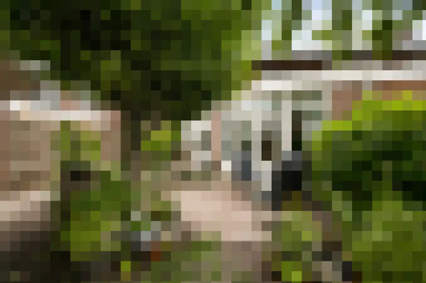 Pastoor Haseldonklaan 11 Heeze thumbnail 28