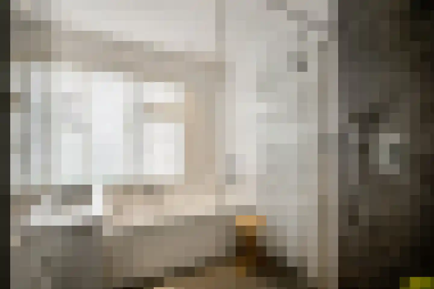 Pastoor Haseldonklaan 11 Heeze thumbnail 5