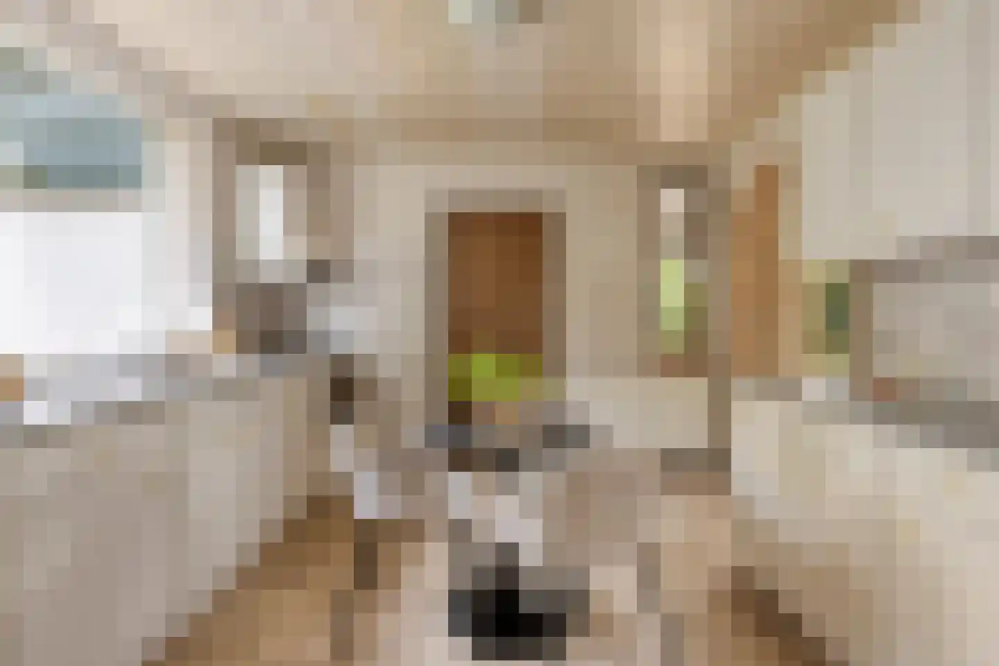 Pastoor Haseldonklaan 16 Heeze thumbnail 13