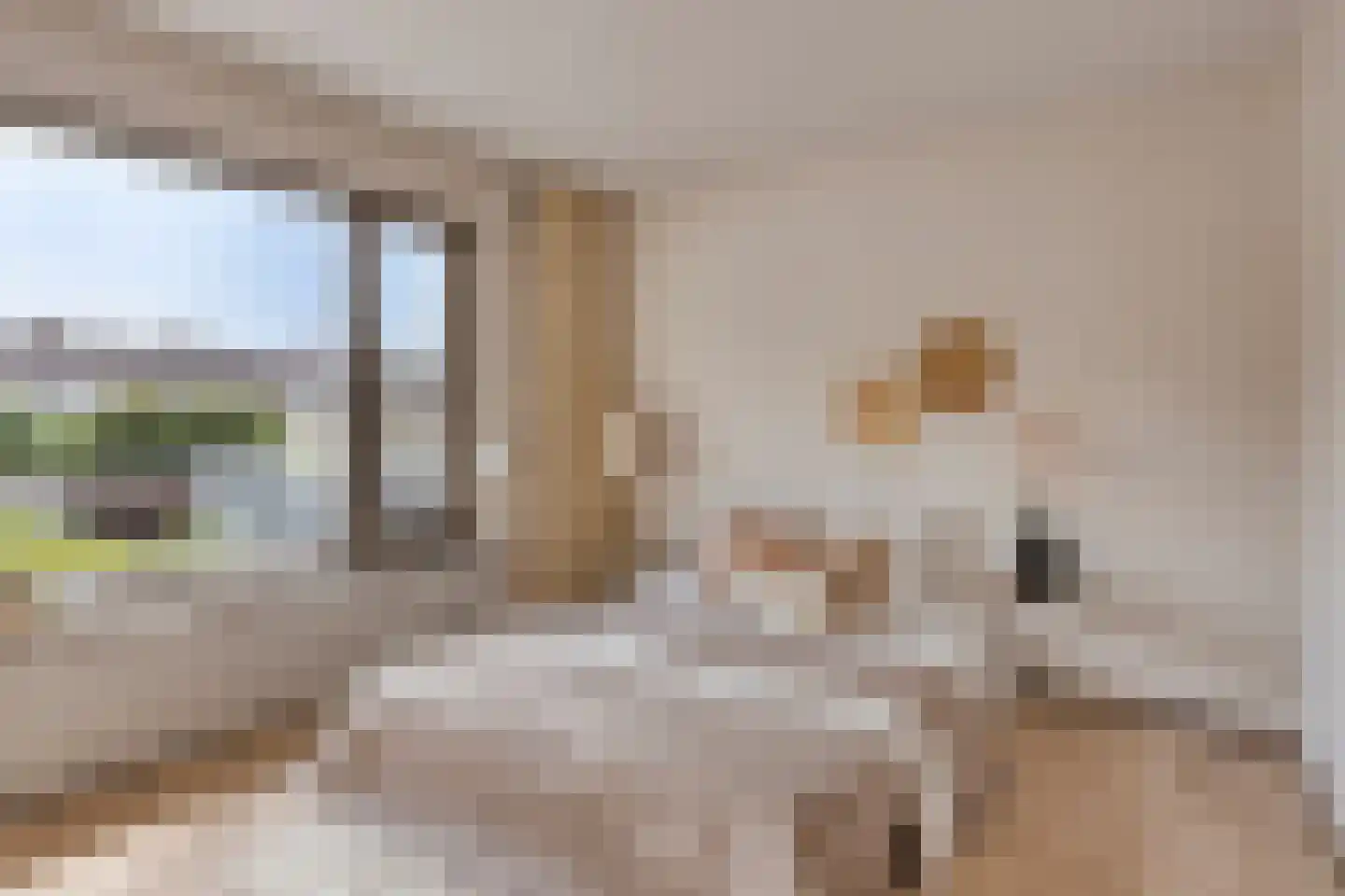 Pastoor Haseldonklaan 16 Heeze thumbnail 22