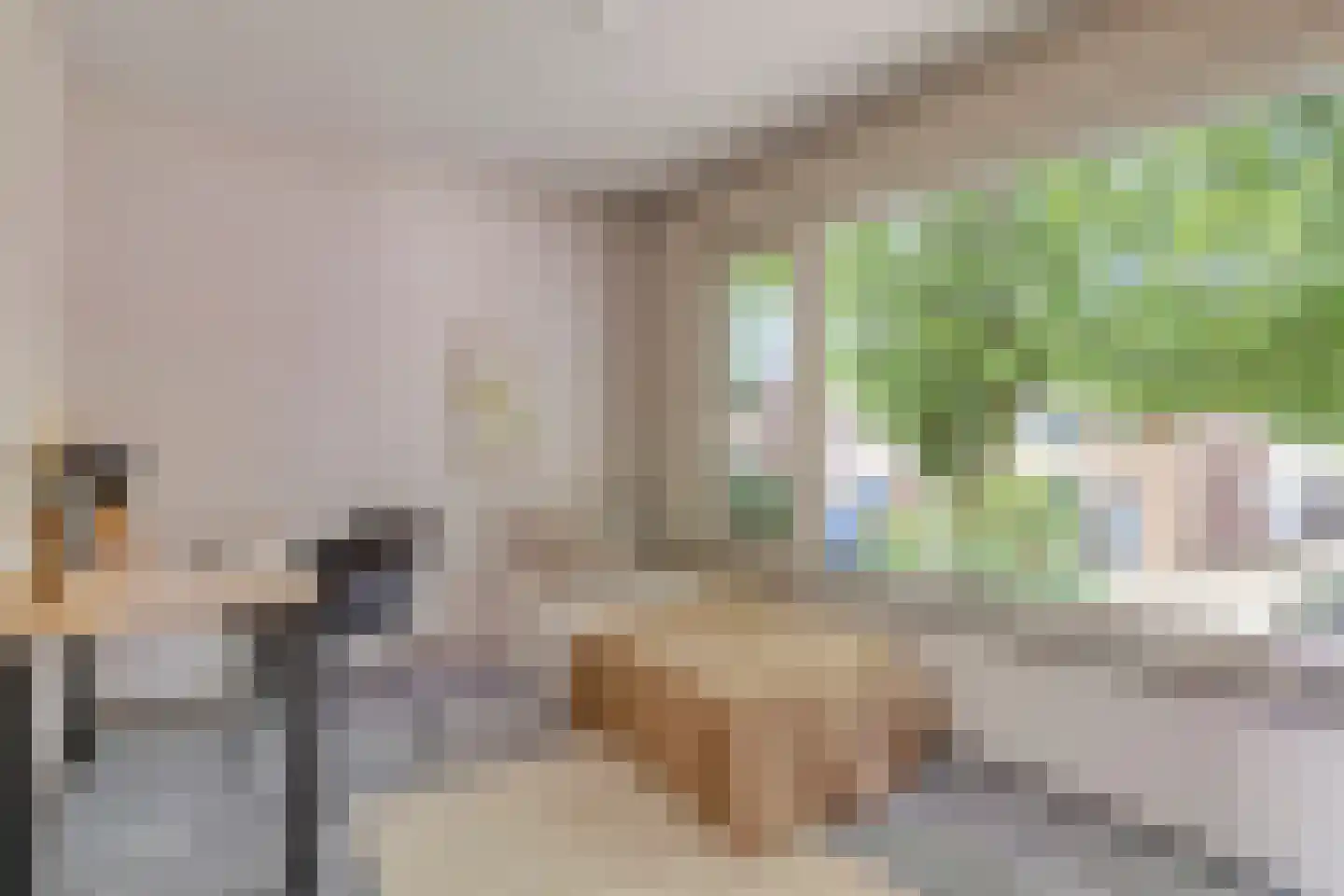 Pastoor Haseldonklaan 16 Heeze thumbnail 24