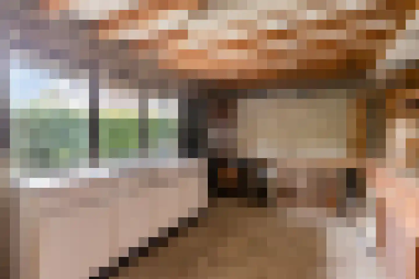 Pastoor Haseldonklaan 16 Heeze thumbnail 37
