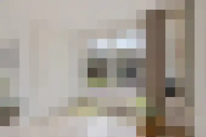 Pastoor Heggelaan 17 Bunnik thumbnail 16