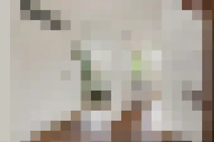 Pastoor Heggelaan 17 Bunnik thumbnail 18
